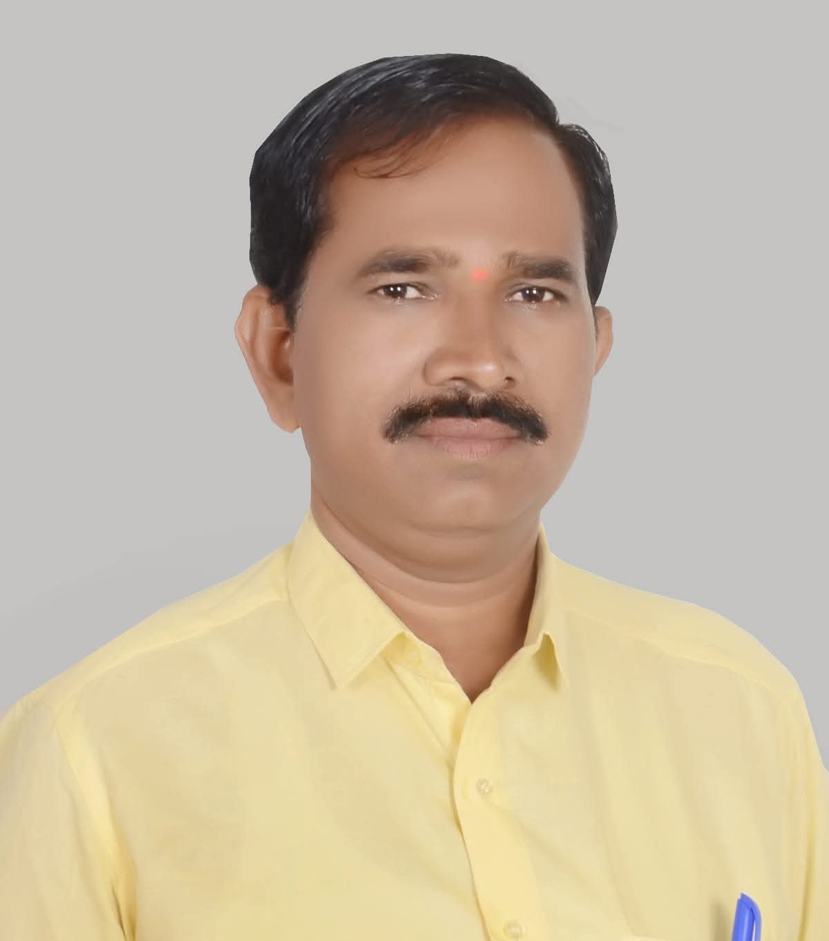 कारभारी डी. एस.